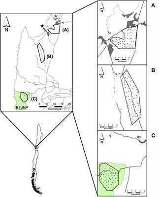 Domestic Dogs and Wild Foxes Interactions in a Wildlife-Domestic Interface of North-Central Chile: Implications for Multi-Host Pathogen Transmission